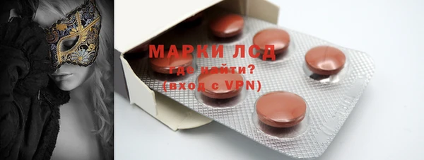 PSILOCYBIN Абдулино