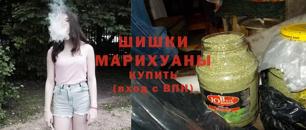 PSILOCYBIN Абдулино