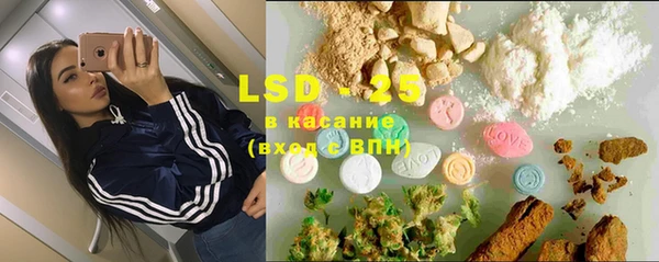 PSILOCYBIN Абдулино