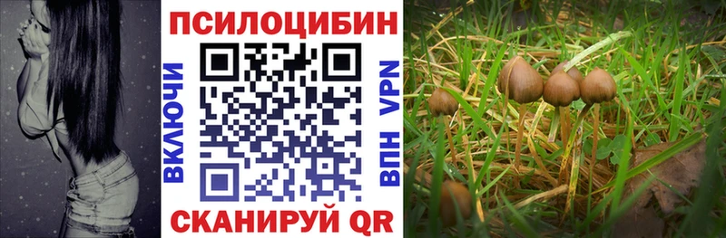 Псилоцибиновые грибы Magic Shrooms Почеп